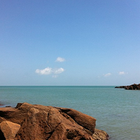 ���������ι���