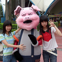 �������ǵ�����