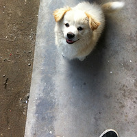 �ɶ��͵����