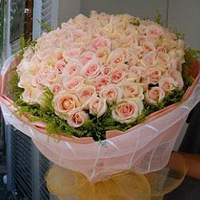 ׼����ı�����