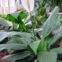 װ�޵�ͯЬ�ǿ���Χ����~~~~~~~~~