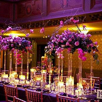 [�������������γ�] ����İ�������ɫϵ����