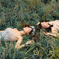 ������ʶʮ����