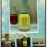 ������һ���������顿֮����ϲϲ�����ռ�