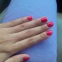 ������һ���������顿õ�������~