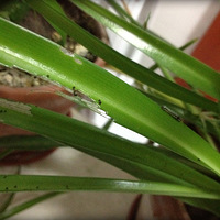 ����ɶ���ӡ��������ҵĵ���