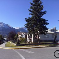 �����и�������