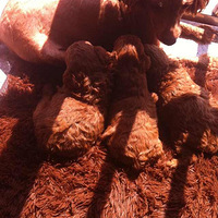 ̩�ϱ����ĳɳ����̣����ȳ��ɰ�Ŷ~~