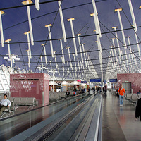 ������������֣����