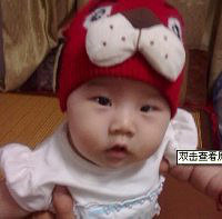 ����19¥̨������+С����