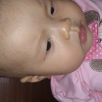 ������Ƭ