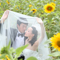 ���Ż�ɴ��  ɹ��������