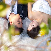 �ٵ���ҳ~������~���ƹ���~