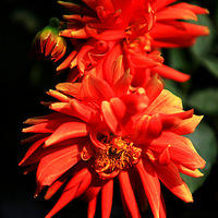 �Ჴ��֮��