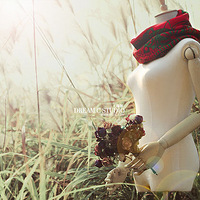 ���ҵ�д�桿«έ�����ŷ��������ľ�У�