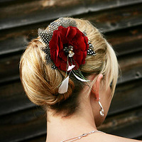 ��������ѧԺ֮----����������ƣ�20���������Ż����͡�