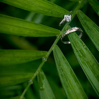 �����ʱ��Ļ�����Ƭ�ٺ�