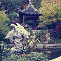 ���㡤����