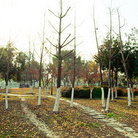 ������ ������·����������