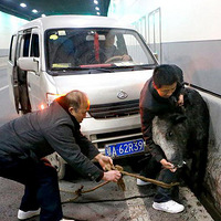 ����ţ��Խ�����ֹ�· û�����ⳡ��