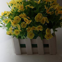 �����Ұ�����ײ˺����ǵ�С��