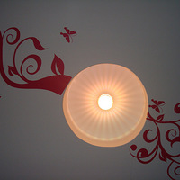 �����Ұ����+�����񻨶�һ������