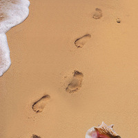  ������һ�����ܴ���Ȼ����ĺ���