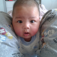 ���ı���������