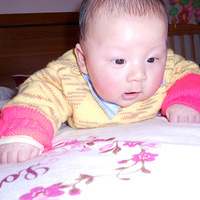 С����85��������������