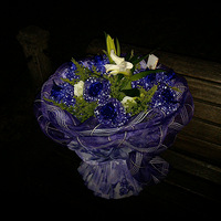 ~~~~~~лл��Ϊ�Ҵ�������~~~~~