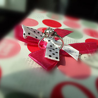 ��Ϊ��������������