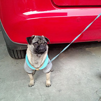 ʷ��������С�������챻˨���˳��Ӻ���