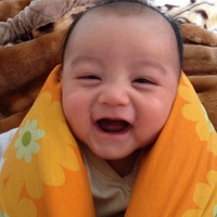 ���շ� ��ľ�У���