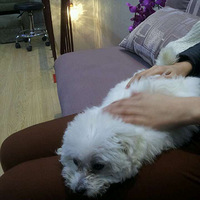 �������������ڱ�ĵط��ܵ�����������õ��˰�ο��