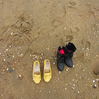 ����֮��