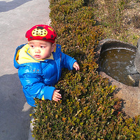 ����ζ���������ҡ�---���ű�װ�㣬������������