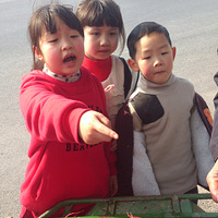 �ɰ��ĺ�����