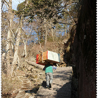 ��ɽ���� ������