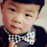 ���������Ľ��գ���