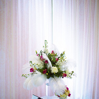 �����ռ�������Ψ�����λõĻ����ֳ�~~��ĺ���Ŷ~~