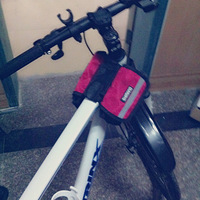 ��ֽ���״����� ����-����-��������-����