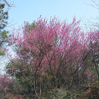 ��������������