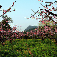 �����һ�ʢ���ĵط������µǰ�ɽ