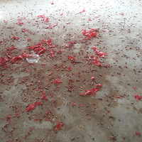 ����С�Ѷ�����