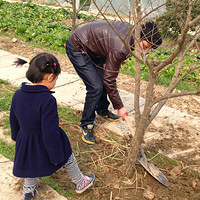 3/12 �ۺ�����4S�Լ���