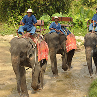 ̩���ռ���֮�ø���