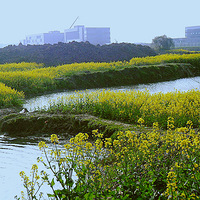 �����Ͳ˻��ļ���