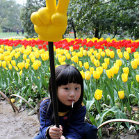 ̫����������㿪��