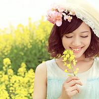 ��2009��2013��Ӧ������ѵ�ǿ��Ҫ�󣬶̷�С����ɹƬƬ��������