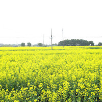 ���������Լݡ�Ϊ��ת��ת������ ���Ҷ�����----�Լ�TT����